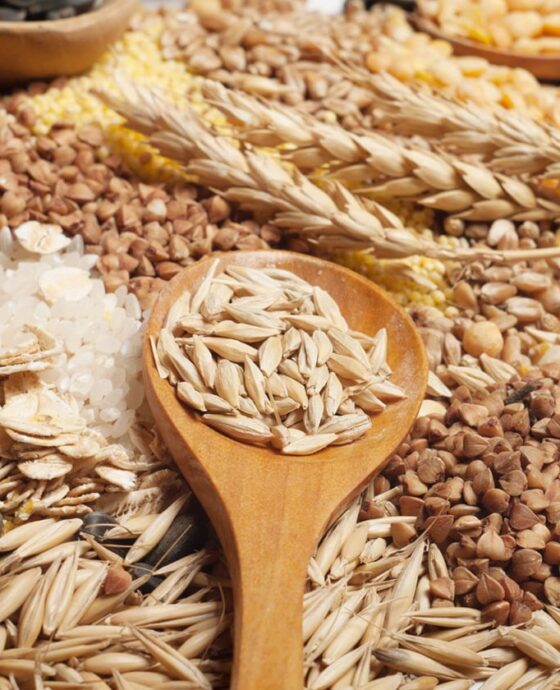 Grains and Oilseeds